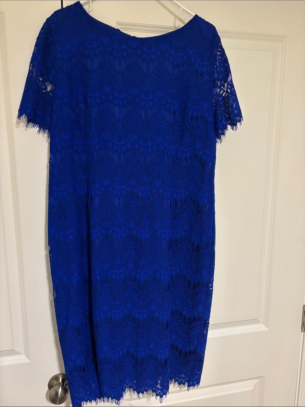 Preston & York Cobalt Blue Lace Midi Dress